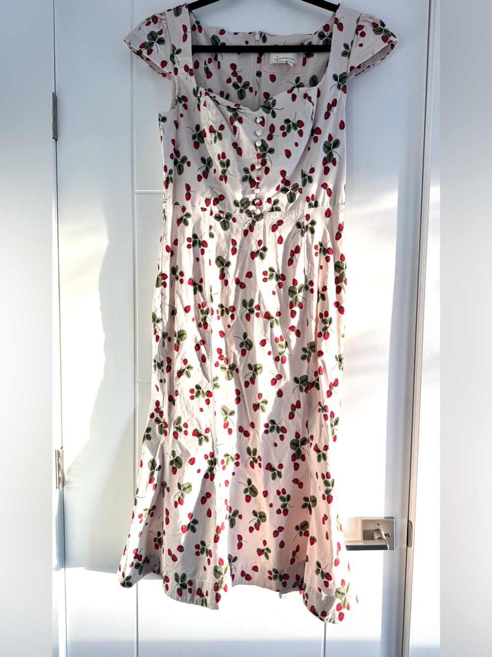 Anthropologie Strawberry Print Dress
